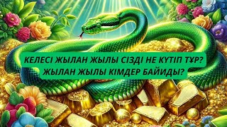 2025 ЖЫЛҒА КЕРЕМЕТ БОЛЖАМ КЕЛЕСІ ЖЫЛ БАЮҒА МҮМКІНДІК БЕРЕДІ ғаламтортв жаңажыл [upl. by Llennej]