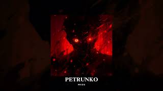 MXDS  PETRUNKO ULTRAFUNK REMIX [upl. by Jung]