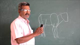 How to Draw a BullDrawing Class lesson3Shapes and its uses [upl. by Aihseken]