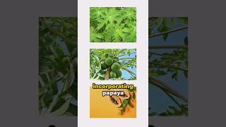 Papaya Leaves 10 Stunning Health Benefits [upl. by Zeuqirdor]