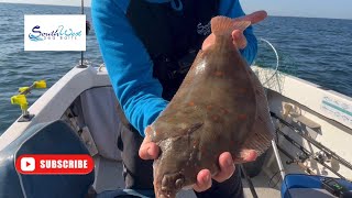 Sea fishing Uk  Plaice fishing  Bass fishing  underwater footage small boat fishing [upl. by Bhatt]