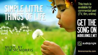 Simple Little Things Of Life  Tim McMorris [upl. by Bocoj]