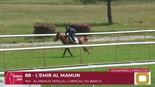 Lot 88  LEMIR AL MAMUN [upl. by Orelu]