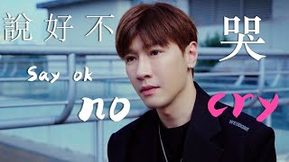 【說好不哭】Jay Chou Cover 英語版  如果中文歌用中式英語唱 [upl. by Peskoff]