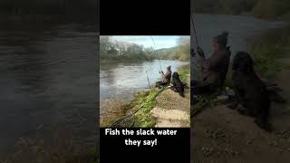 riverwye angling barbel fishing [upl. by Renrut]