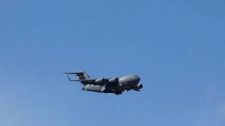 Bird Attacks C17 Paused View Elmendorf Alaska June 10 2010 [upl. by Mcnelly]