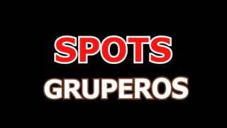 SPOTS FORMATO GRUPERO REGIONAL AUDIO MAX [upl. by Nnahtebazile]