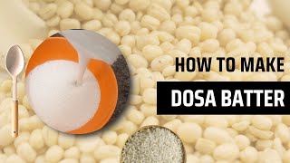 Perfect Dosa Batter Recipe Fluffy Crispy Dosas Every Time [upl. by Tekcirc941]