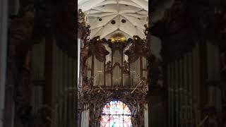 GdanskPoland Oliwa Cathedral Organ [upl. by Animahs399]