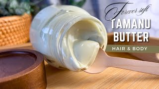 ✨How I Made Body Butter that stays Silky amp Soft Forever  DIY Tamanu Hair amp Body Butter [upl. by Yoo]