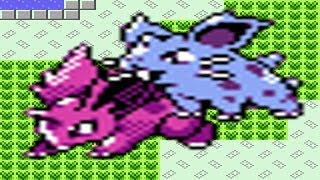 How to find Nidoran Male and Nidoran Female in Pokemon Crystal [upl. by Leibrag316]