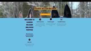 Is Trainedbelgianmalinoispuppiescom Trained belgian malinois puppies legit or a scam [upl. by Atisor413]