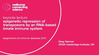 Epigenetic Repression of Transposons by an RNAbased Innate Immune System  Greg Hannon [upl. by Bonne]