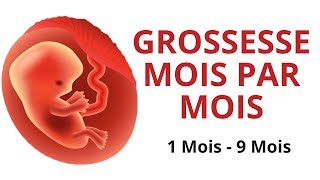 Evolution du fœtus  grossesse mois par mois [upl. by Washington]