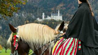 Der St Colomansritt 131024  Pfederweihe am Schloss Neuschwanstein  St Coloman Umzug [upl. by Blight557]