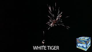 White Tiger Firework [upl. by Kcirdlek]