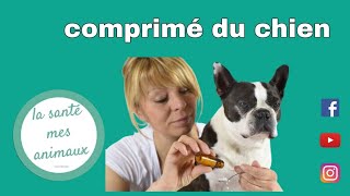 Comment donner un comprimé à un chien 💊🐶 [upl. by Ashlen]