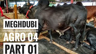 The Modern Cow Firm in Bangladesh  Meghdubi Agro 04  Part 01  RBGCH 2018 [upl. by Jacobsohn]