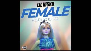 INSTRUMENTAL FEMALE PROD BY LVDS LIL VISKO [upl. by Toland]