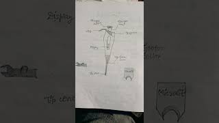 Micropipette observation practical and uses BSc Zoology zoology biotech biology lab practical [upl. by Hiltan]