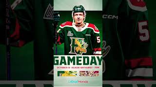 Halifax Mooseheads vs Bathurst hockey mooseheads sports shorts youtubeshorts youtube ￼ [upl. by Nommad]