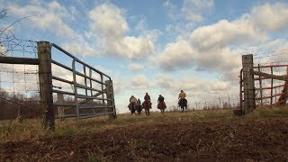 Tennessee Cattle Herding [upl. by Elbag480]