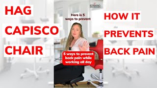 How To Prevent Back Pain with the Hag Capisco Chair 5 ways  rethinkingergonomics [upl. by Leugar]