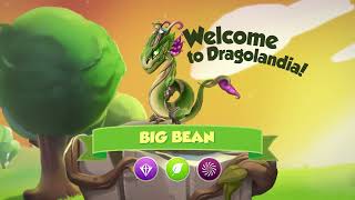 How to Breed Big Bean Februarys Dragon of the Month [upl. by Verras40]