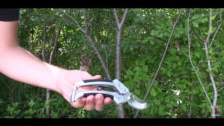 Cates Garden Bypass Pruners  Official Product Review [upl. by Glory]