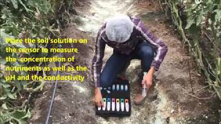 LAQUAtwin testers measurement of pH EC and nutrients in horticulture [upl. by Anwaf]