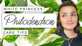 White Princess Philodendron Care TIPS  TRICKS 🌱 Philodendron White Princess Survival Guide 💚 [upl. by Nauqyt]