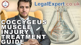 Coccygeus Muscle Injury Treatment Guide  2019  UK [upl. by Imogen566]