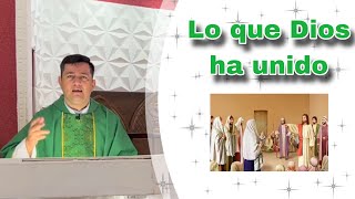 Lo que Dios ha unido Padre Ricardo Prato [upl. by Mag]