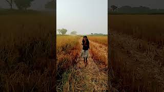 4 Sal se pagal banaa Rakha Hai song [upl. by Donough875]