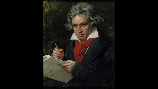 Beethoven 5th Symphony [upl. by Dennard]