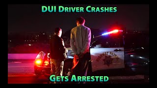 DUI Driver Crashes His Car and Gets Arrested [upl. by Iht]