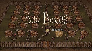 DST Tips Bee Boxes [upl. by Compton252]