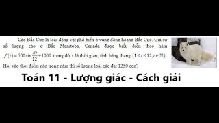 Cáo Bắc Cực là loài động vật phổ biến ở vùng đồng hoang Bắc Cực Giả sử số lượng cáo ở Bắc Manitoba [upl. by Cinnamon802]