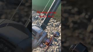 Plunking Rod Setup overview can be used as trolling setup pnw fishing howto outdoors river [upl. by Noicnecsa]