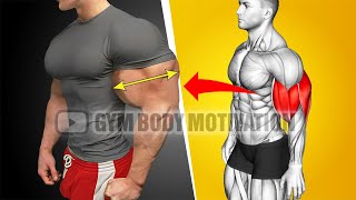 Worlds Best Biceps and Triceps Workout For Bigger Arms [upl. by Odom]