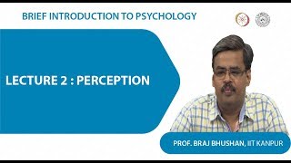 Lecture 2  Perception [upl. by Ahsenwahs]