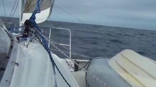 Dragonfly 1200 Beating WSW into a SW Wind From BIock Island to Gardiners Bay [upl. by Idet]