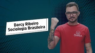 Darcy Ribeiro  Sociologia Brasileira  Brasil Escola [upl. by Hardigg]