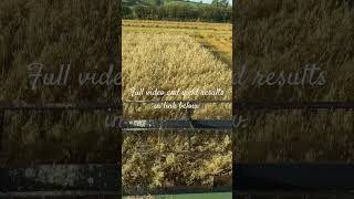 Ploughing vs Minimum tillage vs Direct drilling [upl. by Katlaps688]