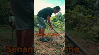 Senaman petang [upl. by Pedroza]