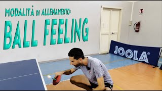 BALLFEELING Schemi di allenamento al tavolo [upl. by Alurta23]