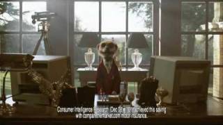 Compare the Meerkat Advert [upl. by Holms595]