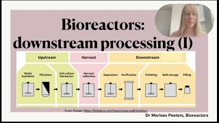 Downstream processing in the pharmaceutical industry Part I recovery and purification [upl. by York894]