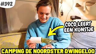 392 PARKIET COCO LEERT EEN KUNSTJE I RCN Camping de Noordster in Dwingeloo [upl. by Dill]