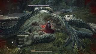 Dragons Dogma 2 Drake Kill Lv33 Fighter No Damage [upl. by Gannie]